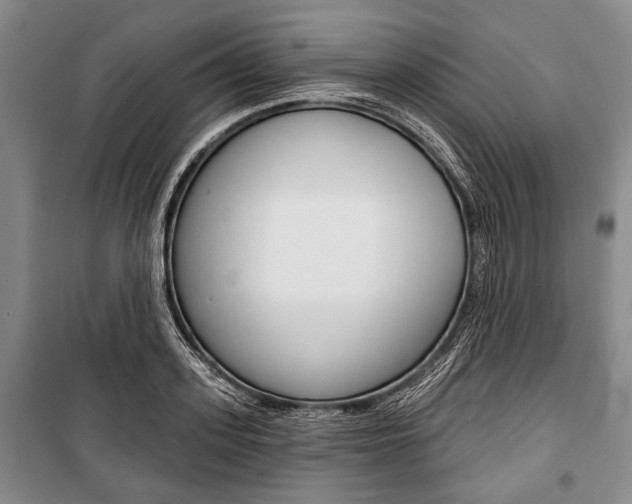 X0000101140939200806270733