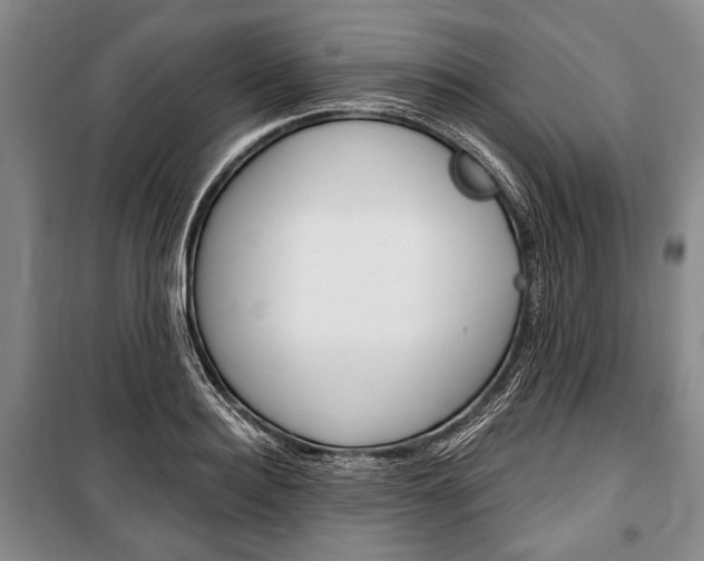 X0000101140940200806270733