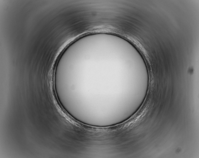 X0000101140941200806270733