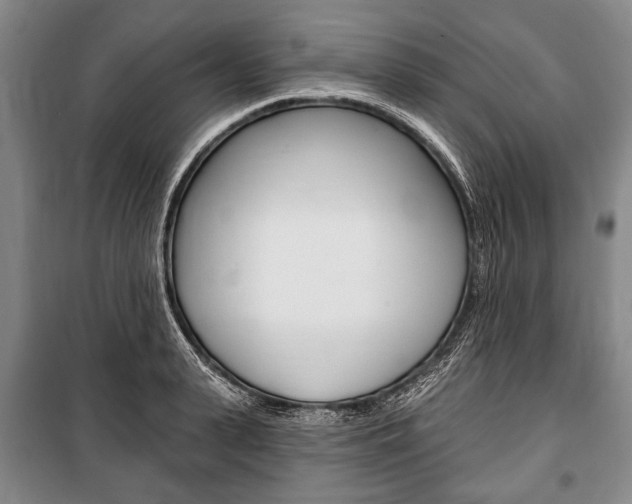 X0000101140943200806270733