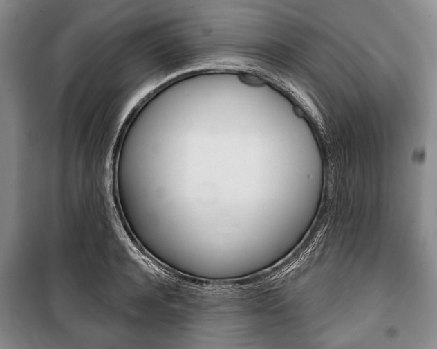 X0000101140944200806270733