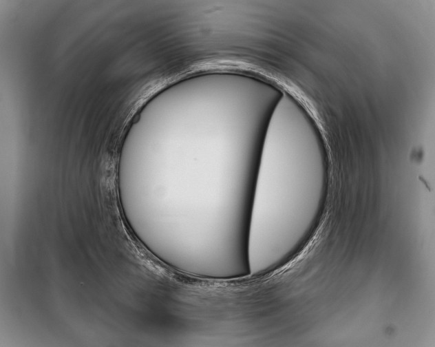 X0000101140945200806270733