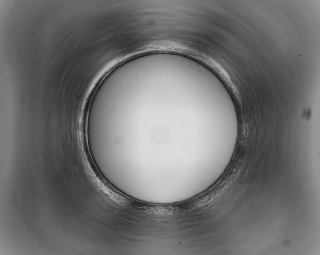 X0000101140947200806270733
