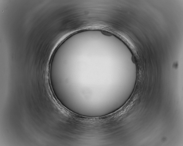 X0000101140948200806270733