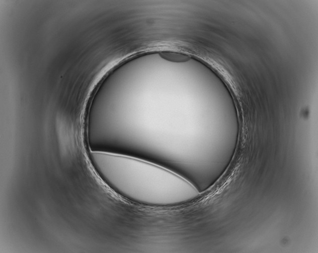 X0000101140949200806270733