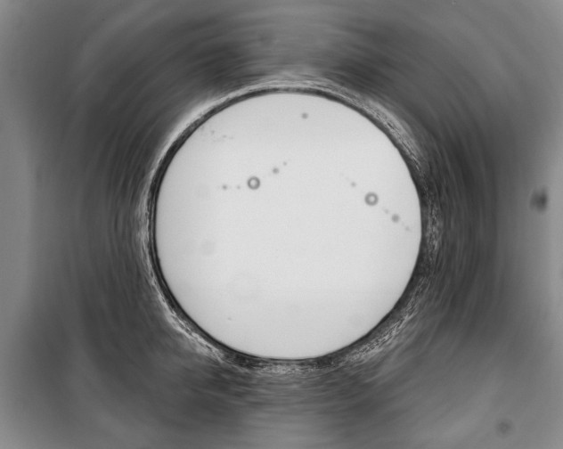 X0000101140950200806270733