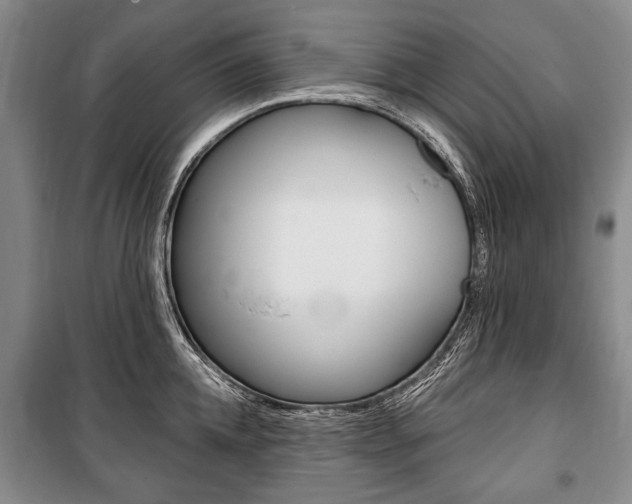 X0000101140952200806270733
