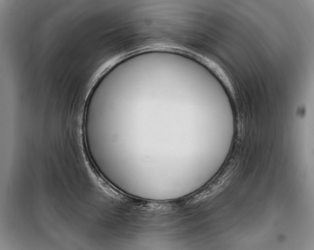 X0000101140954200806270733