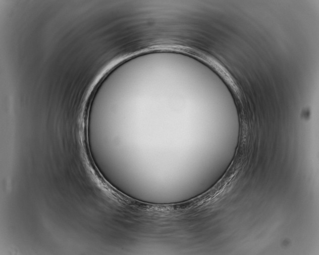 X0000101140955200806270733