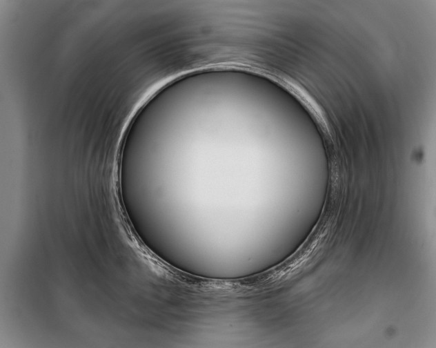 X0000101140956200806270733