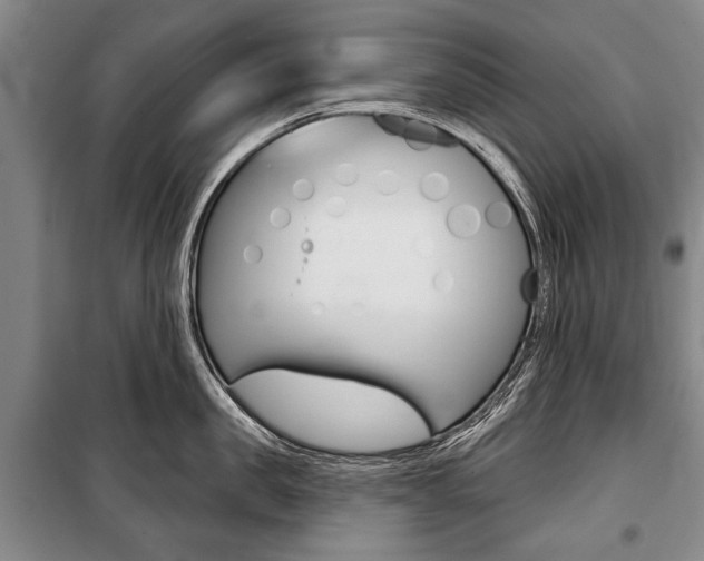 X0000101140957200806270733