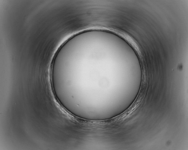 X0000101140958200806270733