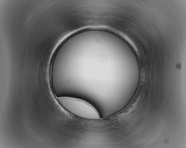 X0000101140959200806270733