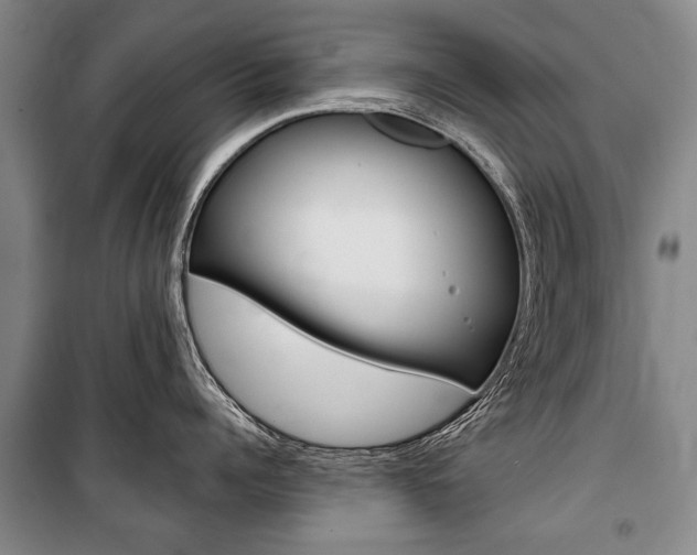 X0000101140960200806270733