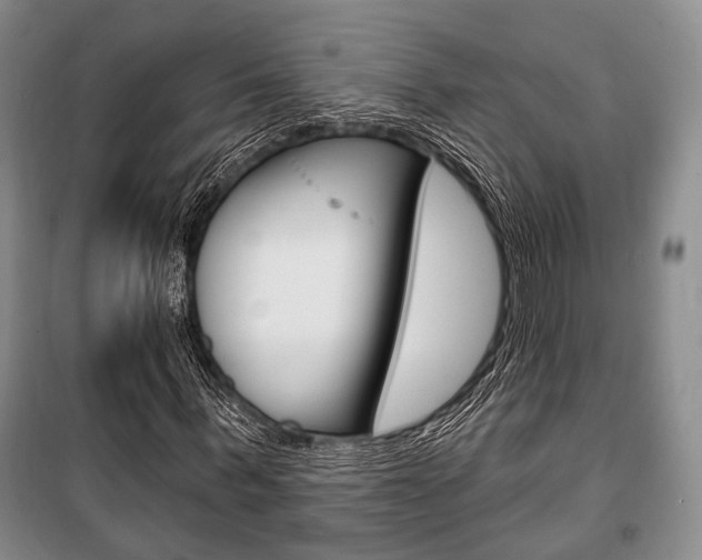 X0000101140963200806270732
