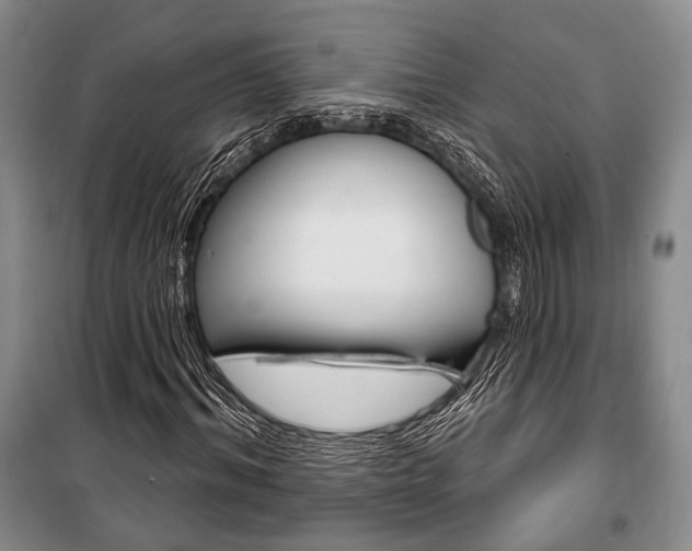 X0000101140964200806270732