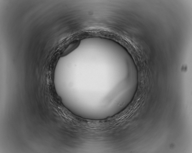 X0000101140965200806270732