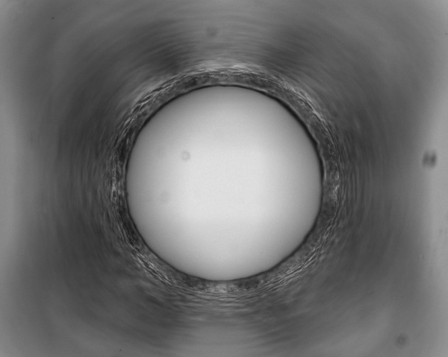 X0000101140966200806270732