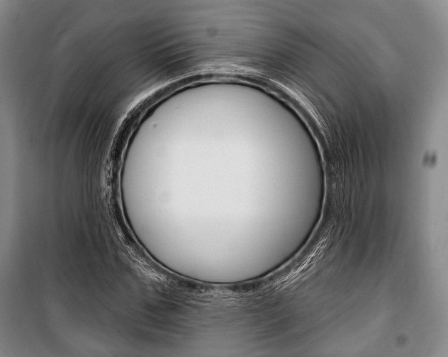 X0000101140971200806270732
