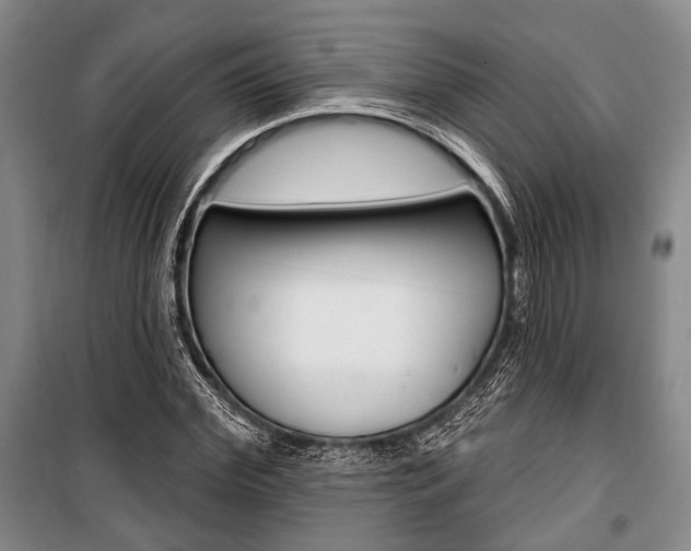 X0000101140972200806270732