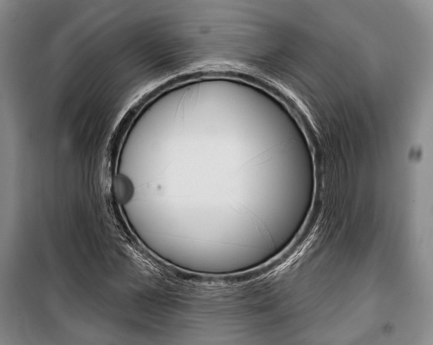 X0000101140973200806270732