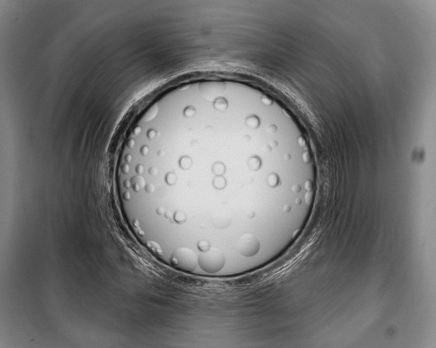 X0000101140974200806270732