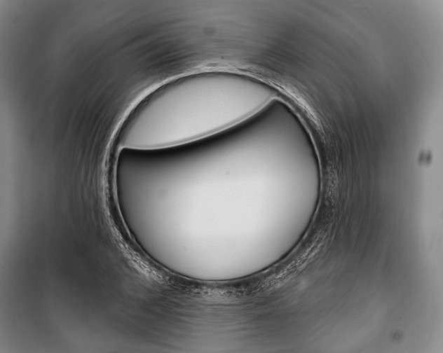 X0000101140976200806270732