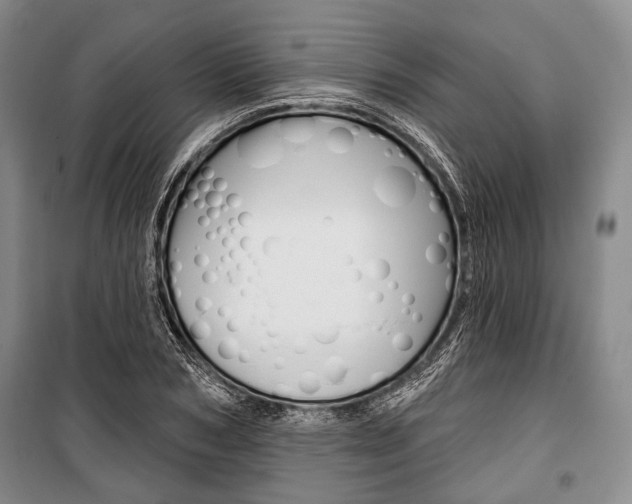 X0000101140978200806270732