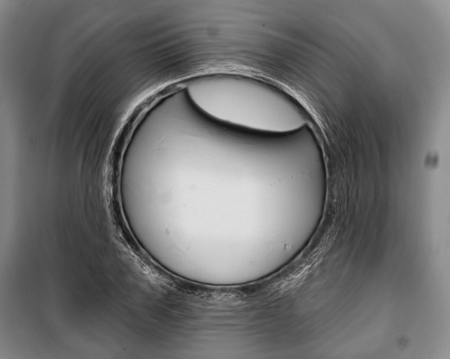 X0000101140979200806270732