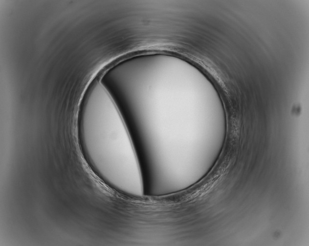 X0000101140980200806270732