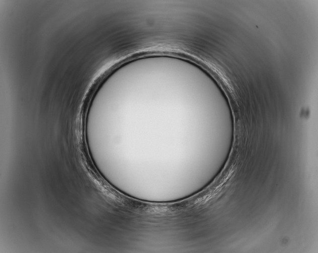 X0000101140982200806270732