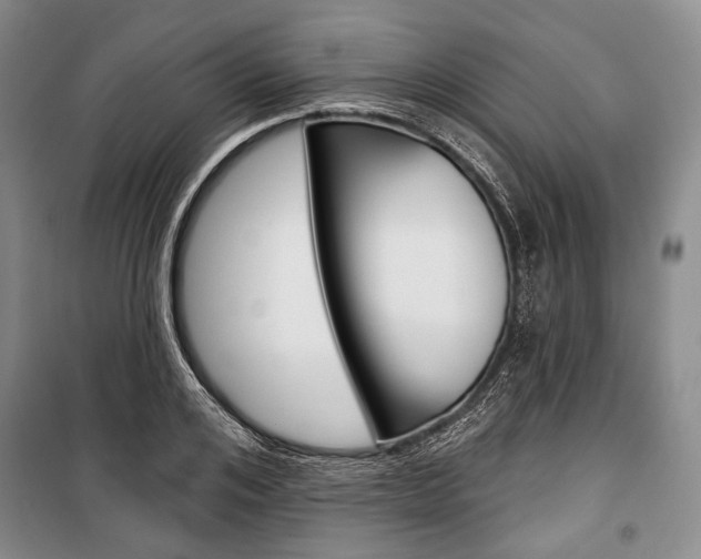 X0000101140984200806270732