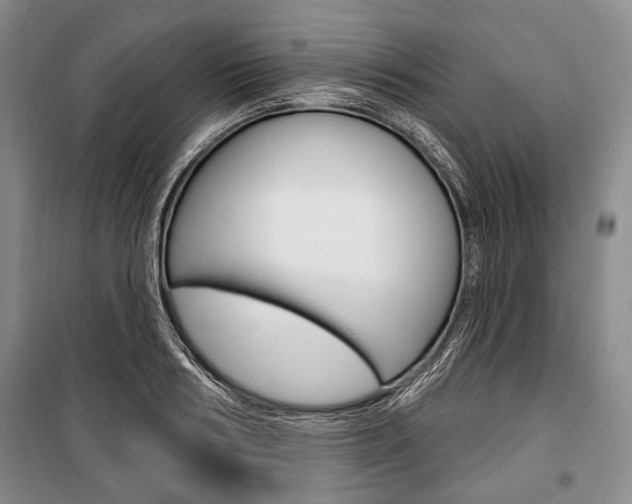 X0000101140986200806270732