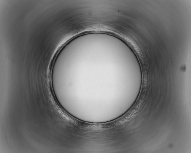 X0000101140990200806270732