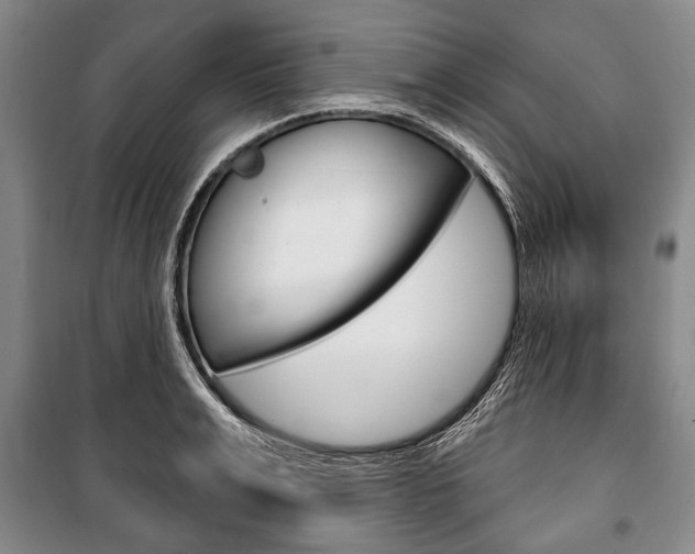 X0000101140991200806270732