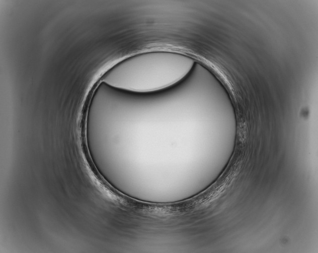 X0000101140995200806270732