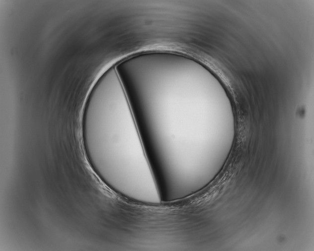 X0000101140996200806270732