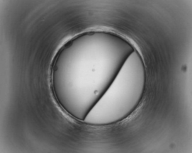 X0000101140997200806270732