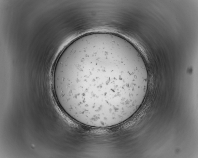 X0000101140998200806270732
