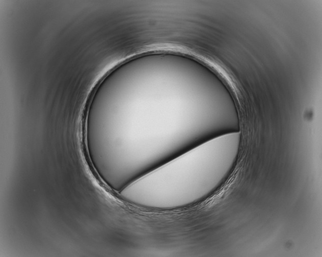 X0000101140999200806270732