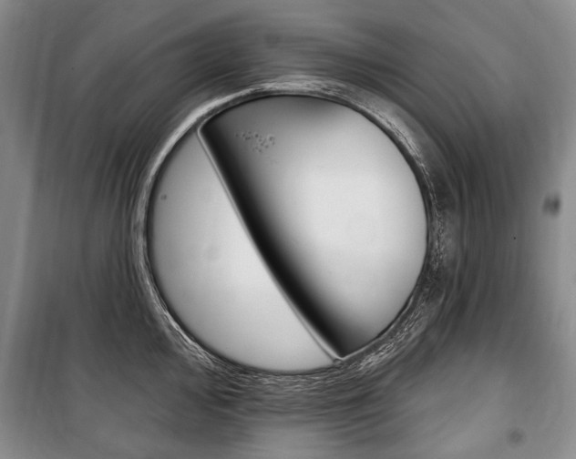 X0000101141000200806270732