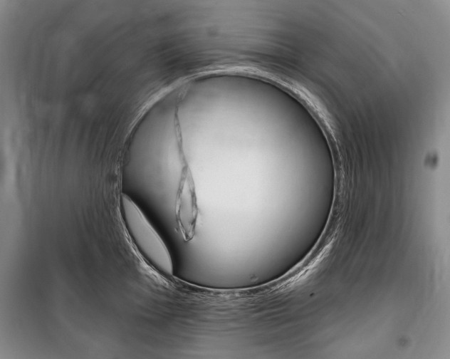 X0000101141001200806270732