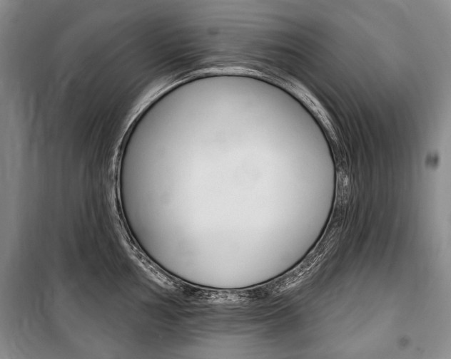 X0000101141002200806270732