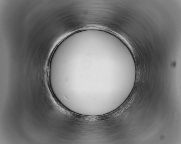 X0000101141003200806270732