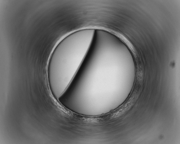 X0000101141004200806270732