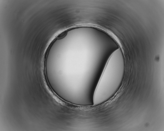 X0000101141005200806270732