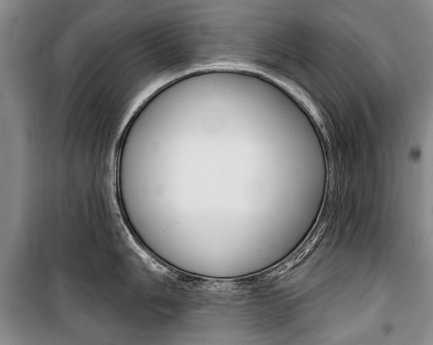X0000101141006200806270732
