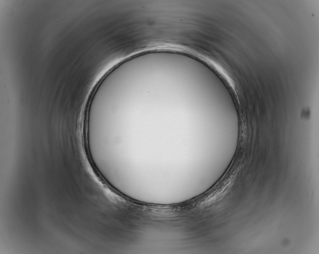 X0000101141007200806270732