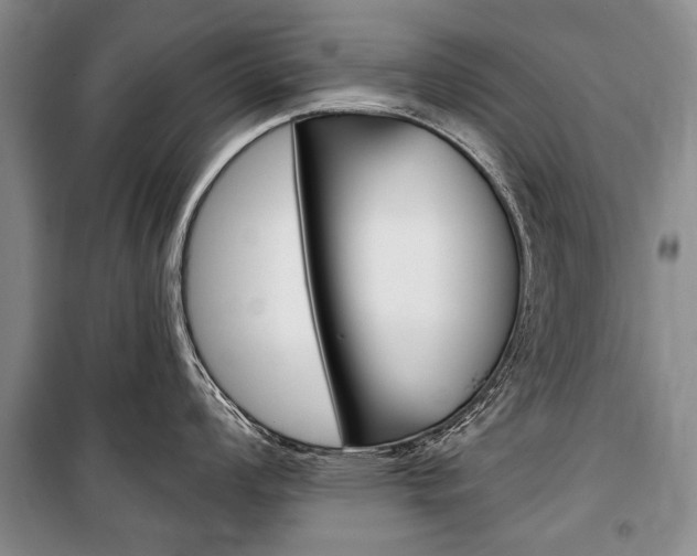 X0000101141008200806270732