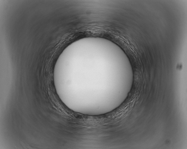 X0000101141009200806270731